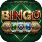 bingo 101
